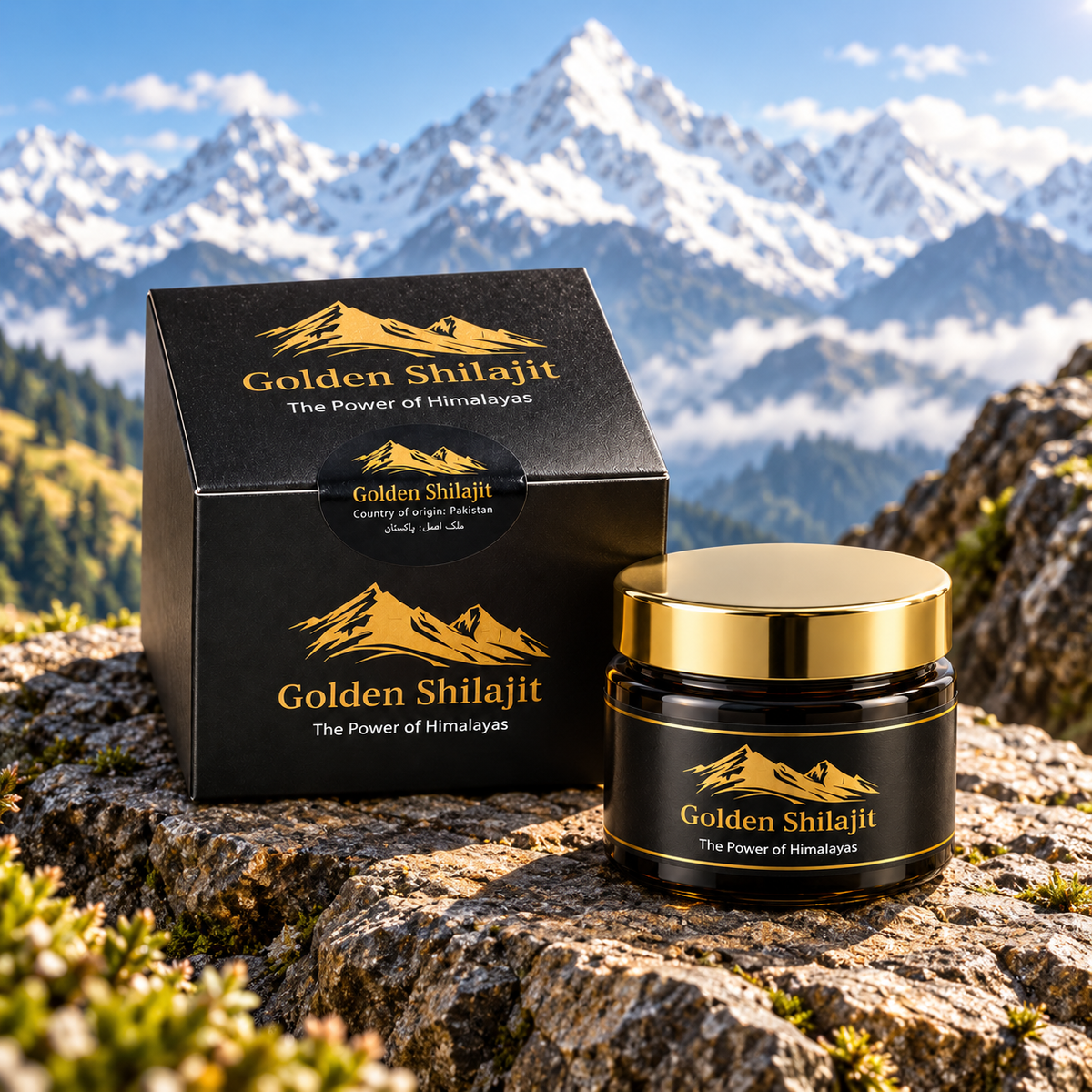 Golden Shilajit Resin – Premium Himalayan Natural Shilajit | The Power of Himalayas