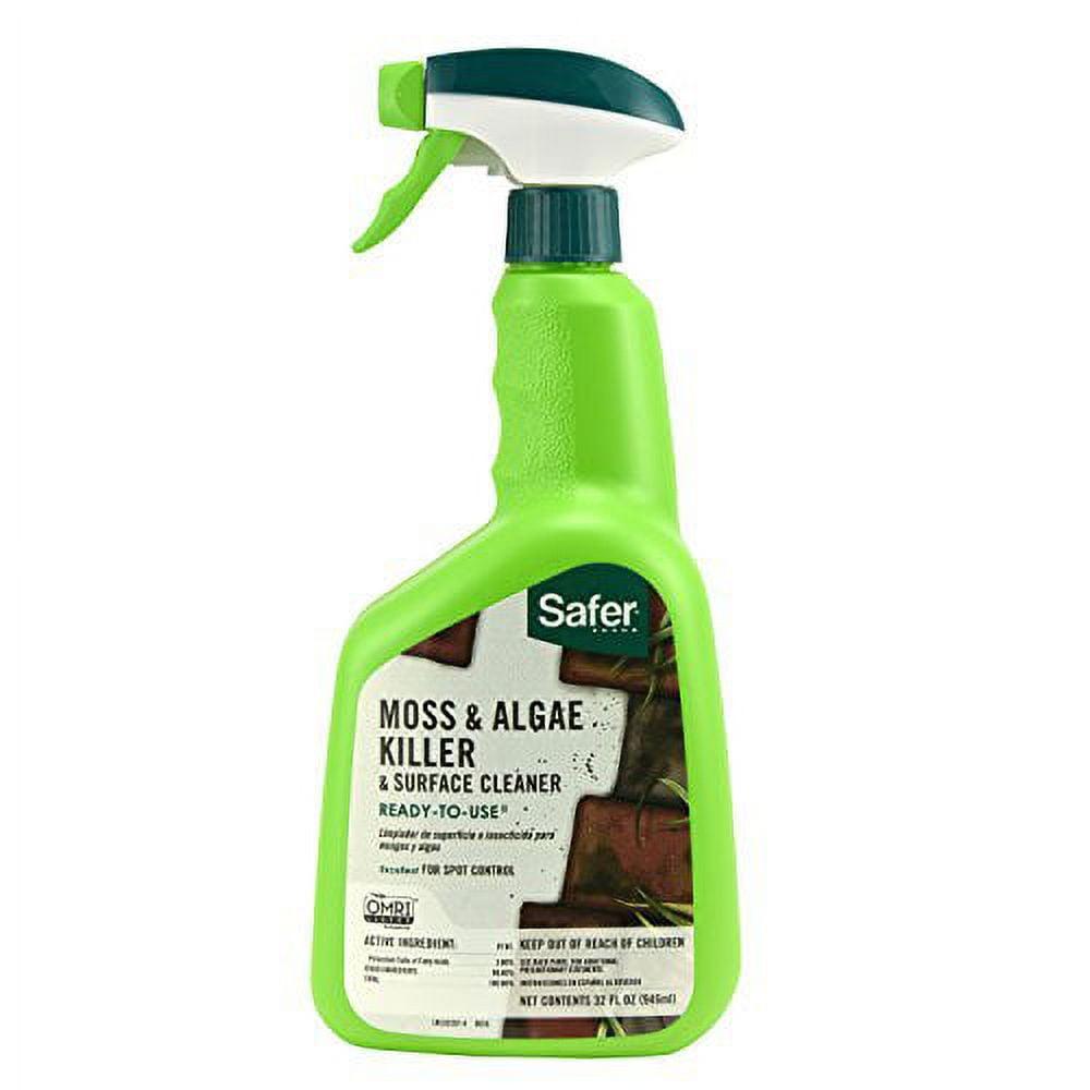 Outdoor Moss and Algae Killer